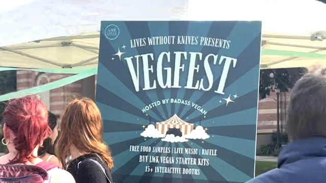 VegFest at UCLA Rocks!