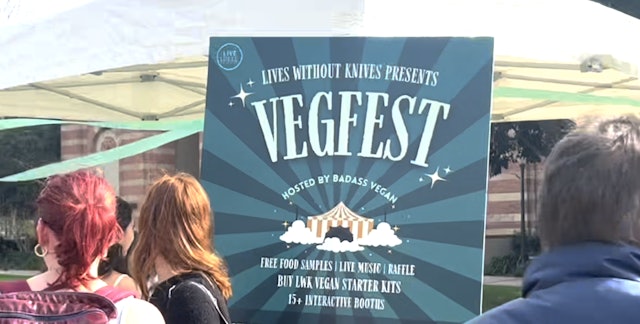 VegFest at UCLA Rocks!