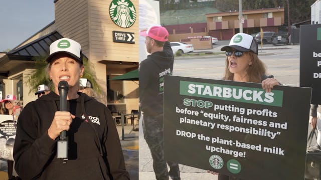 Starbucks Under Fire!