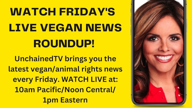 LIVE Vegan News Roundup! 