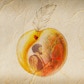Under the Peach Trees: The Story of the Hochstetler Family