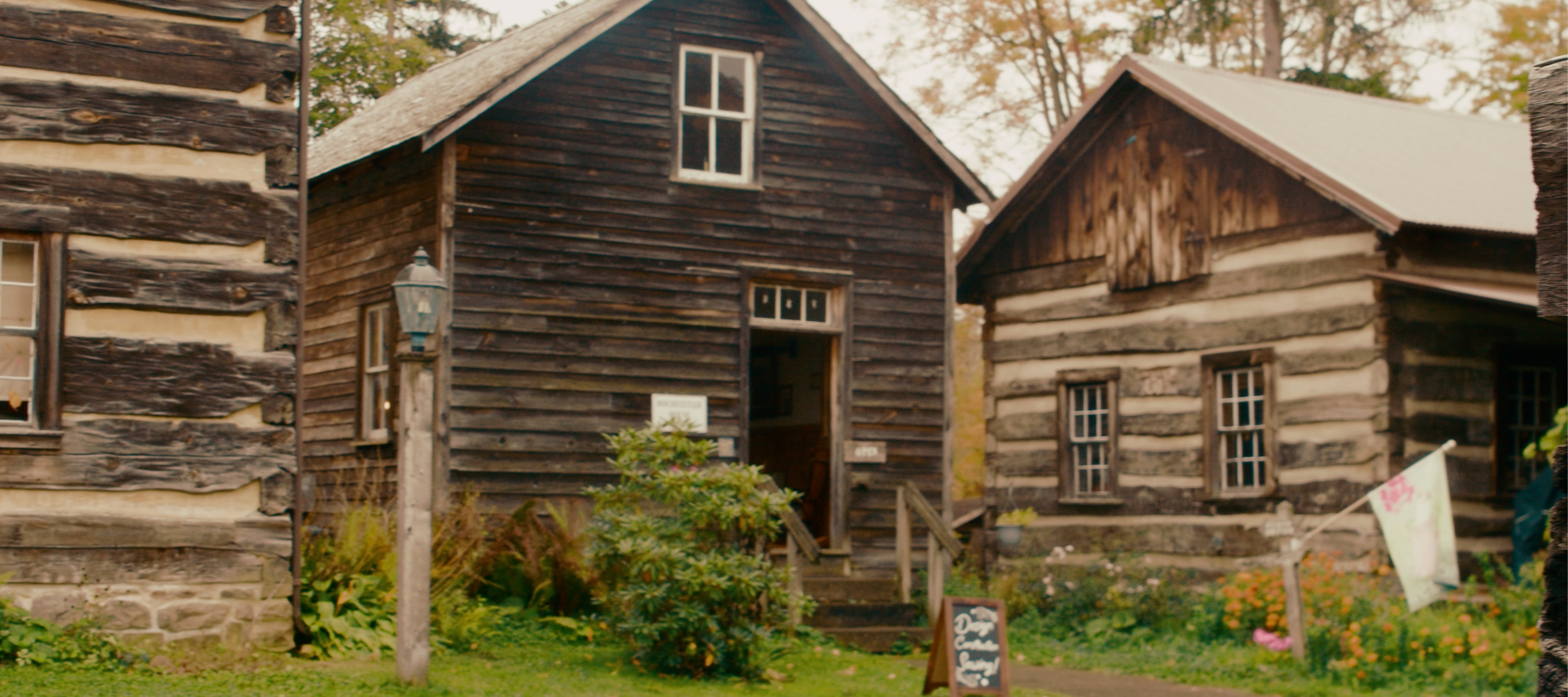 Under the Peach Trees: The Story of the Hochstetler Family