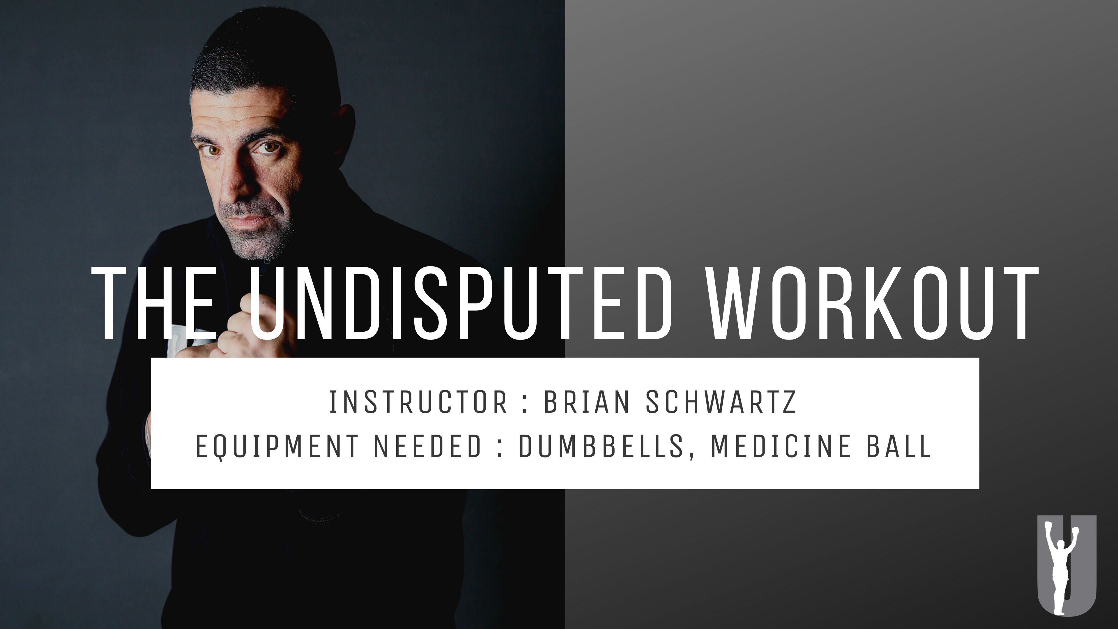 THE UNDISPUTED WORKOUT - BRIAN SCHWARTZ 