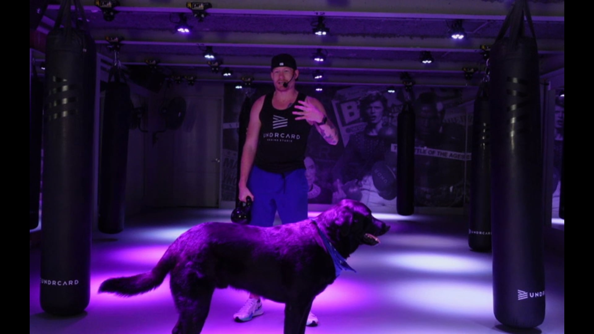 Class 068 - 40 min. Bark n' Box with David 'WILD' Rose (feat. Odin)