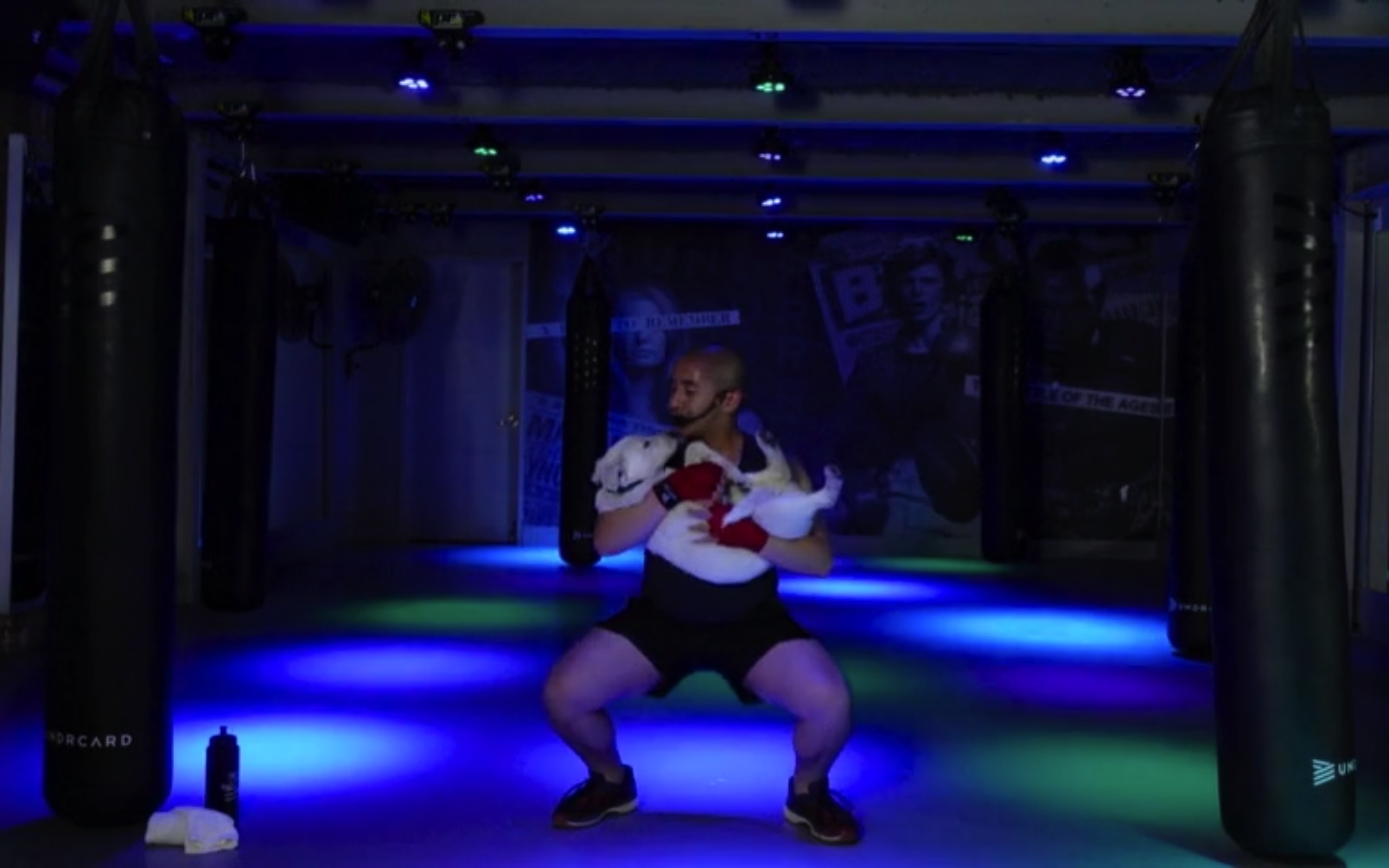 Class 065 - 30 min. Bark n' Box with Oscar 'HYPEMAN' (feat. Jasper)