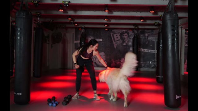 Class 066 - 30 min. Bark n' Box with ...