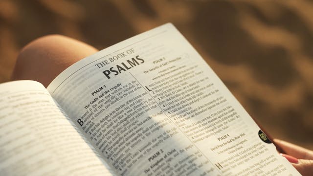 VOLUME 2, UNIT 8, WEEK 2, LESSON 31, ...