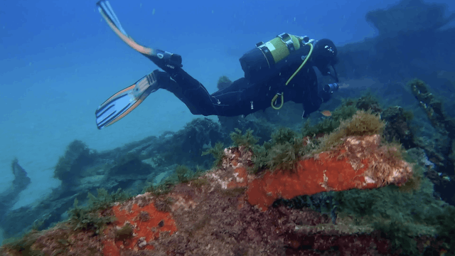 UNIT 7, WEEK 5, LESSON 28, DAY 4 1 Corinthians 15:51-57