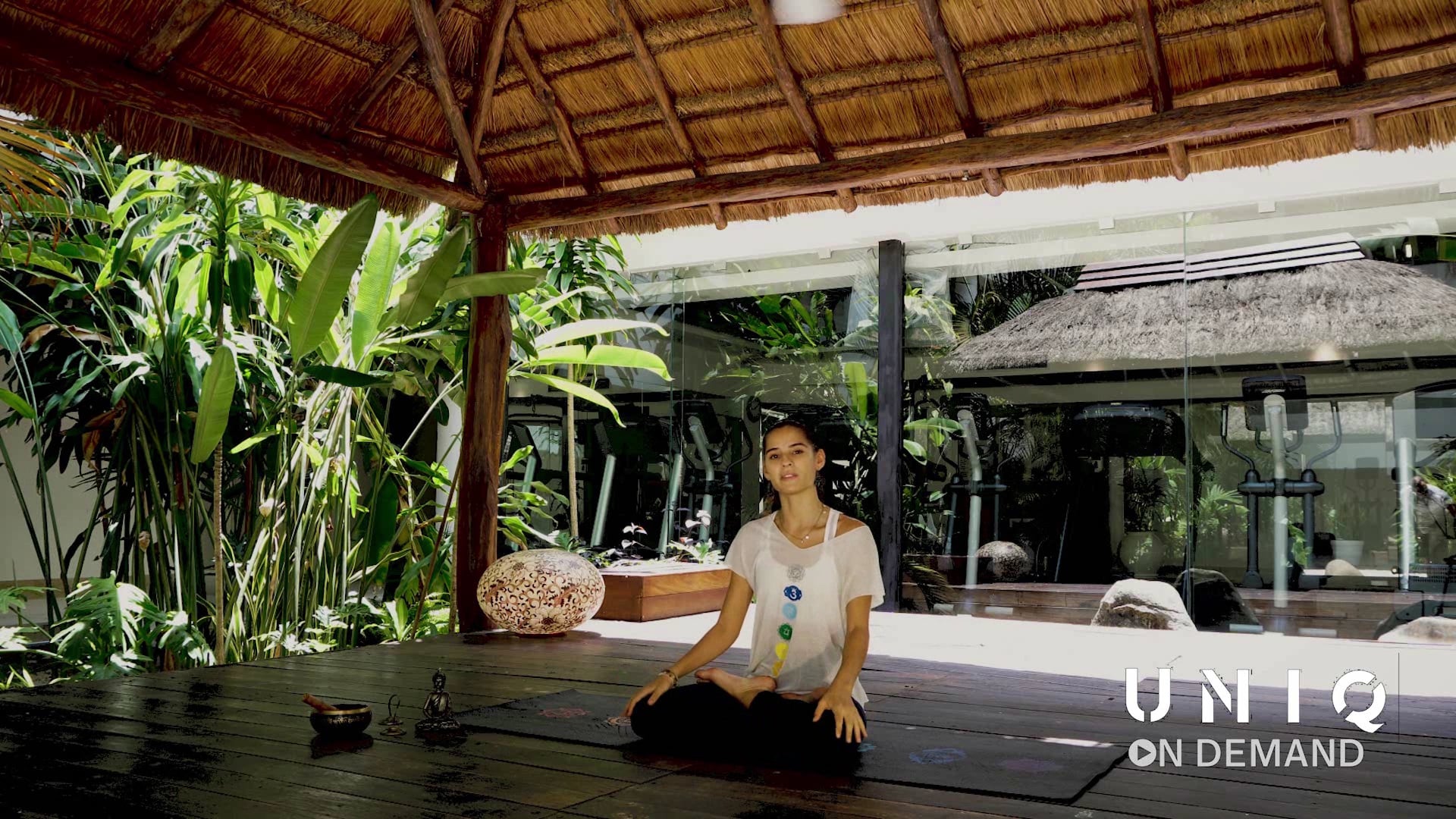 Entrenamiento 3 - Yoga para Principiantes con Roxane