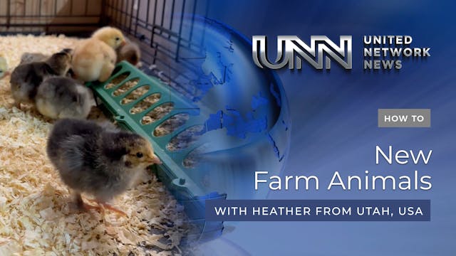 13-AUG-23 #533 NEW FARM ANIMALS
