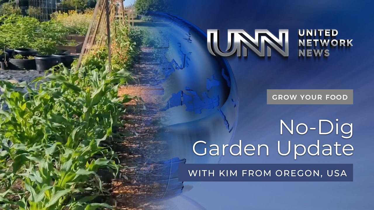 23JUL23 494 NO DIG GARDEN UPDATE United Network TV