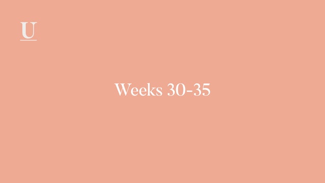 Calendar Weeks 30-35