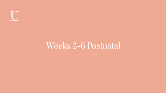 Calendar Weeks 2-6 Postnatal 