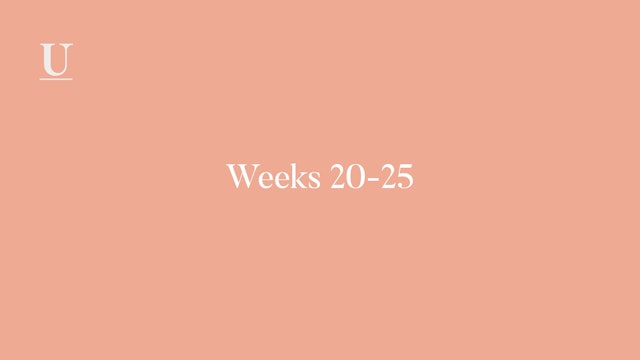 Calendar Weeks 20-25