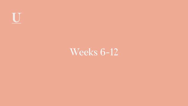 Calendar Weeks 6-12