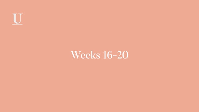 Calendar Weeks 16-20 