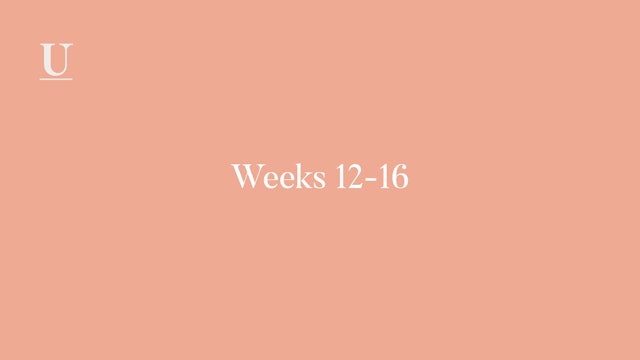 Calendar Weeks 12-16 