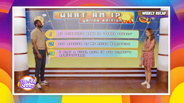 What Am I?: Yellow Edition