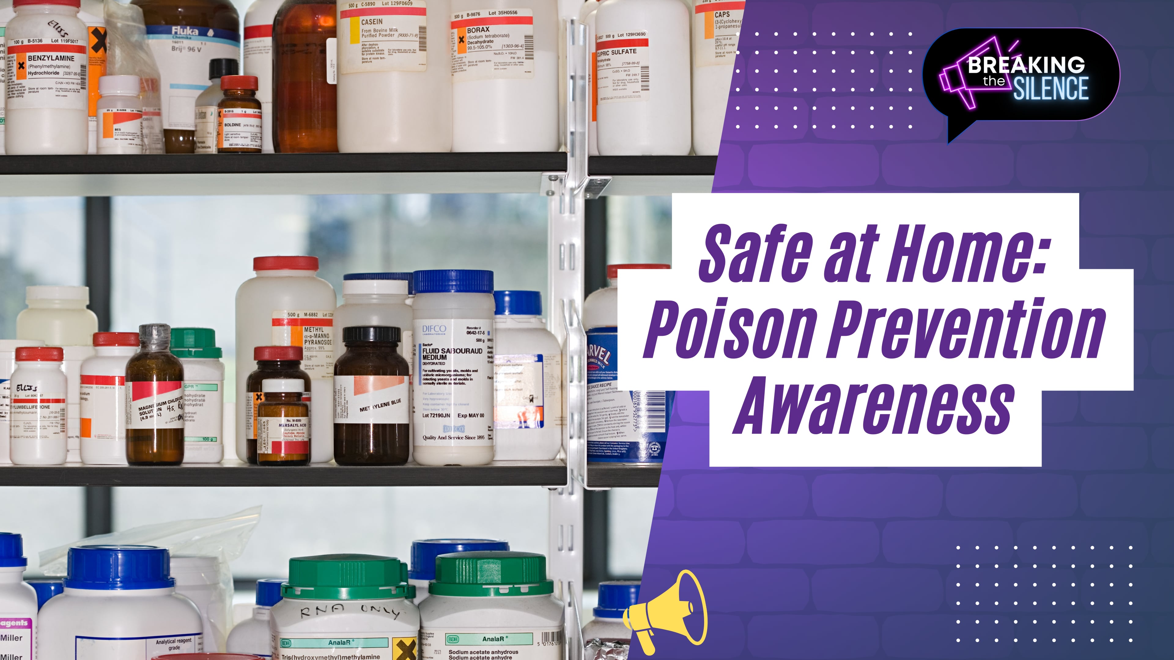 Safe at Home: Poison Prevention Awareness