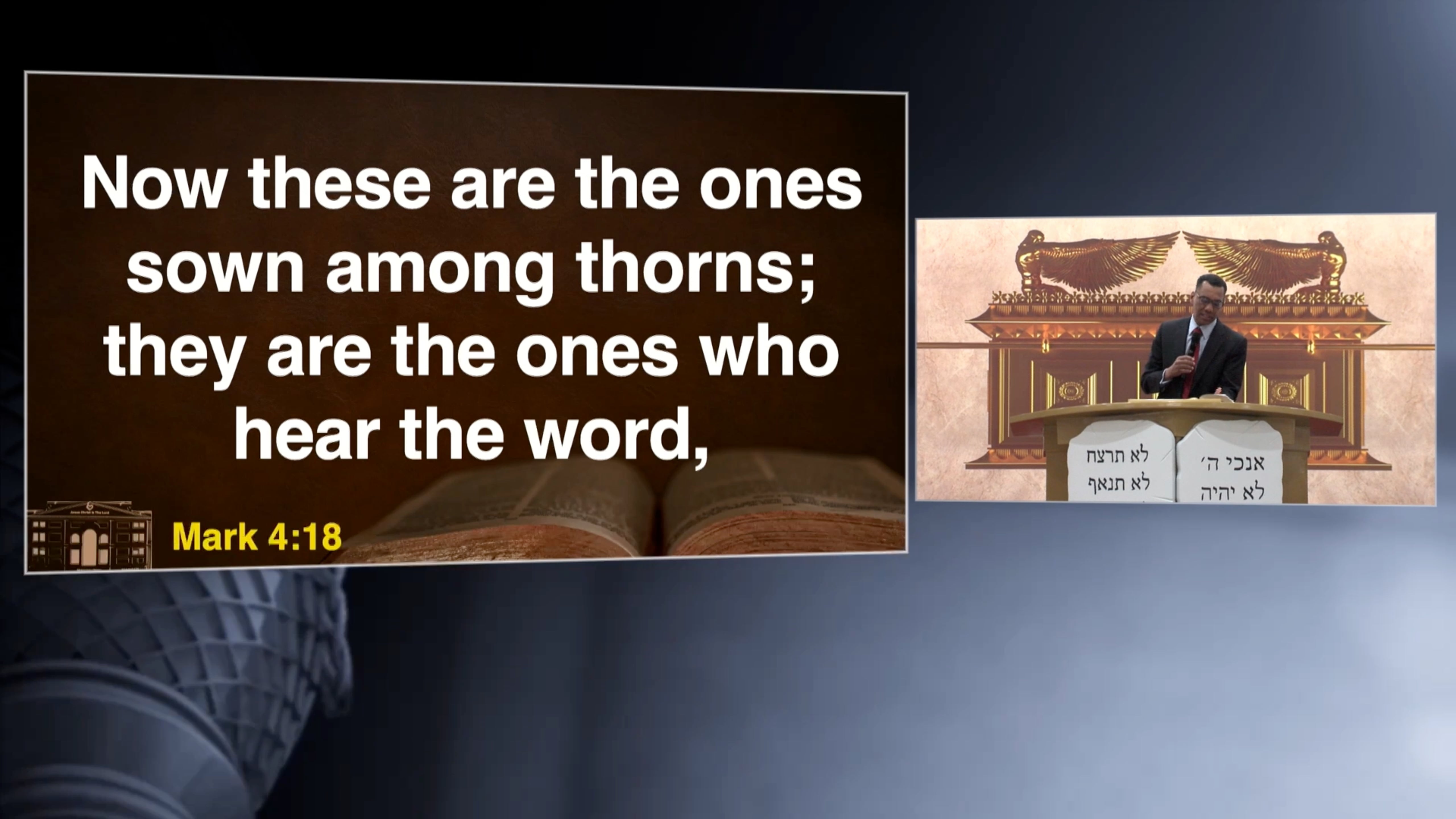 What Is Choking the Word of God in Your Life?