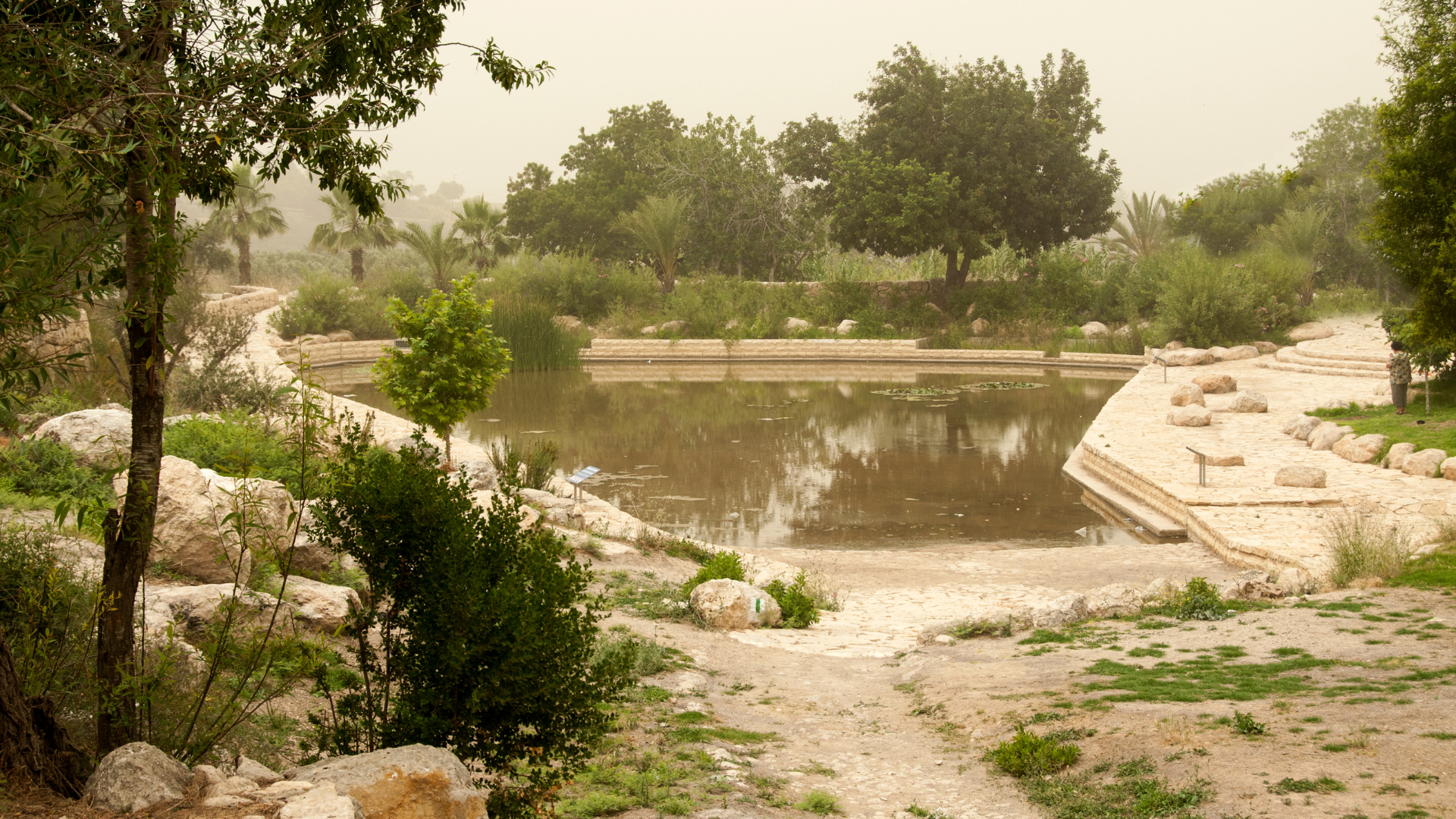 Are You Unknowingly Exchanging God for Something Else?