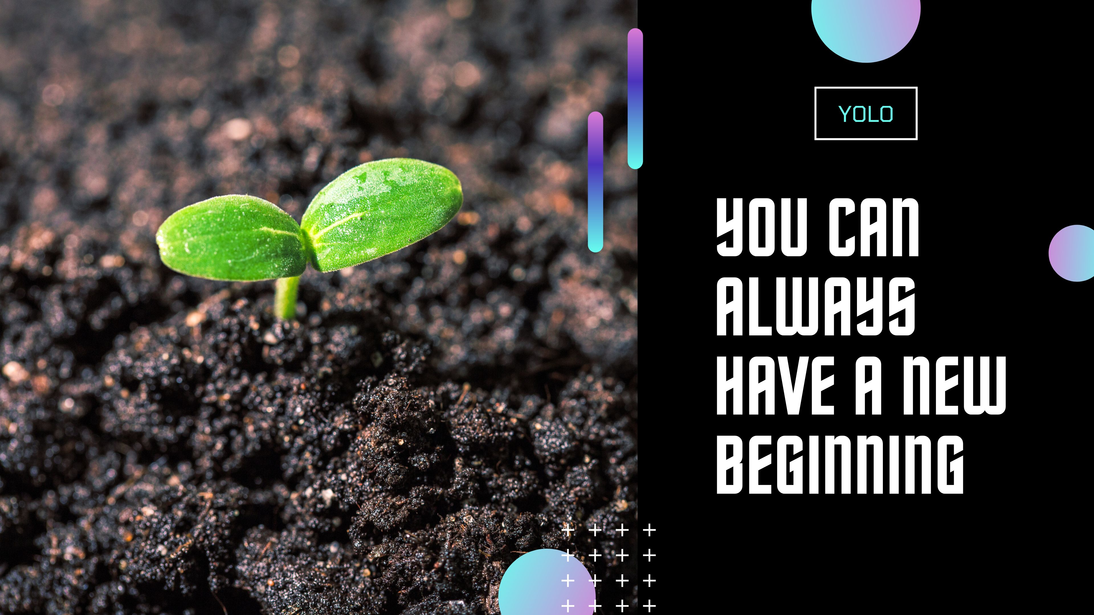 You Can Always Have a New Beginning 