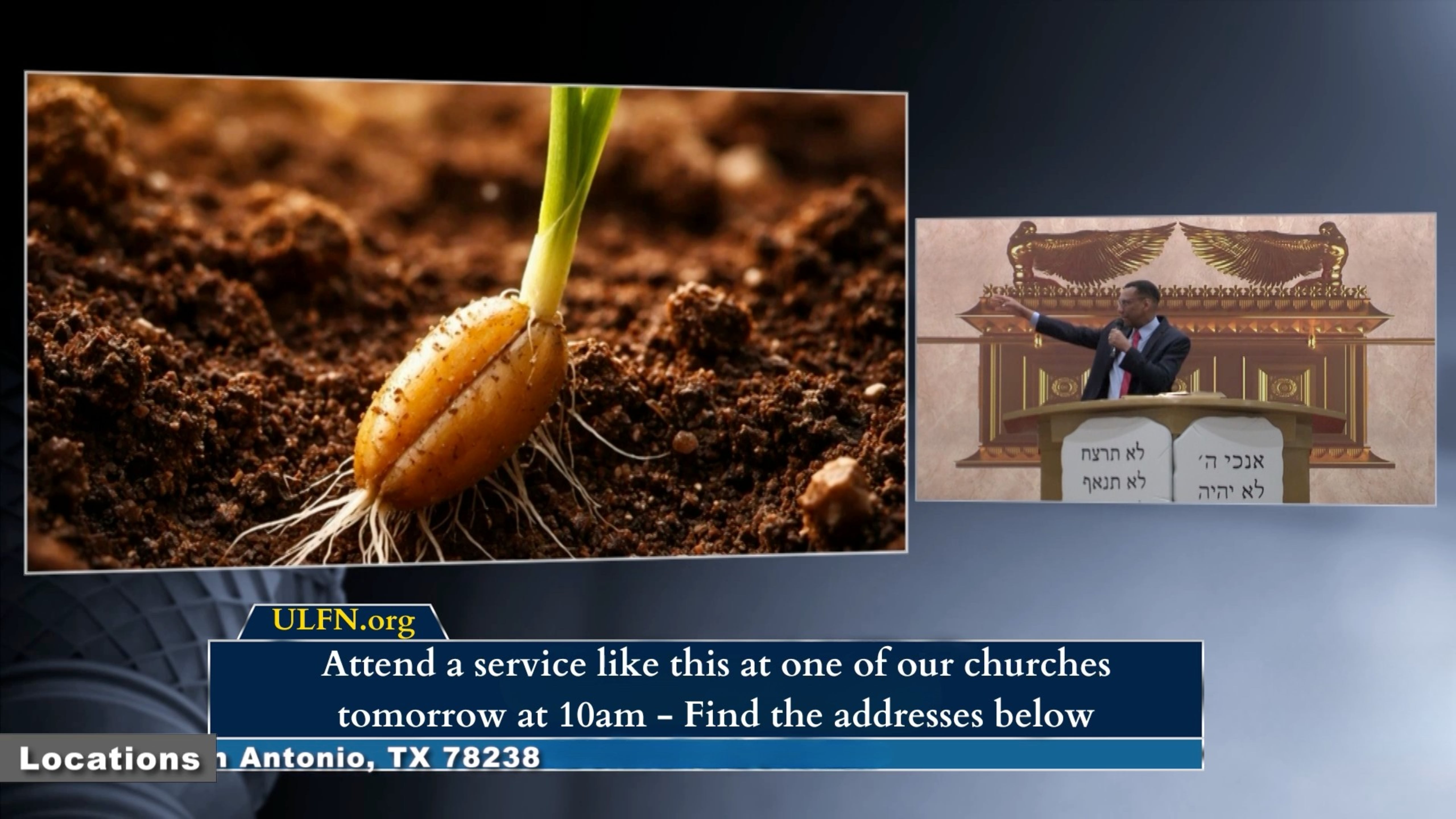 Why Many Remain Alone—The Lesson of the Seed