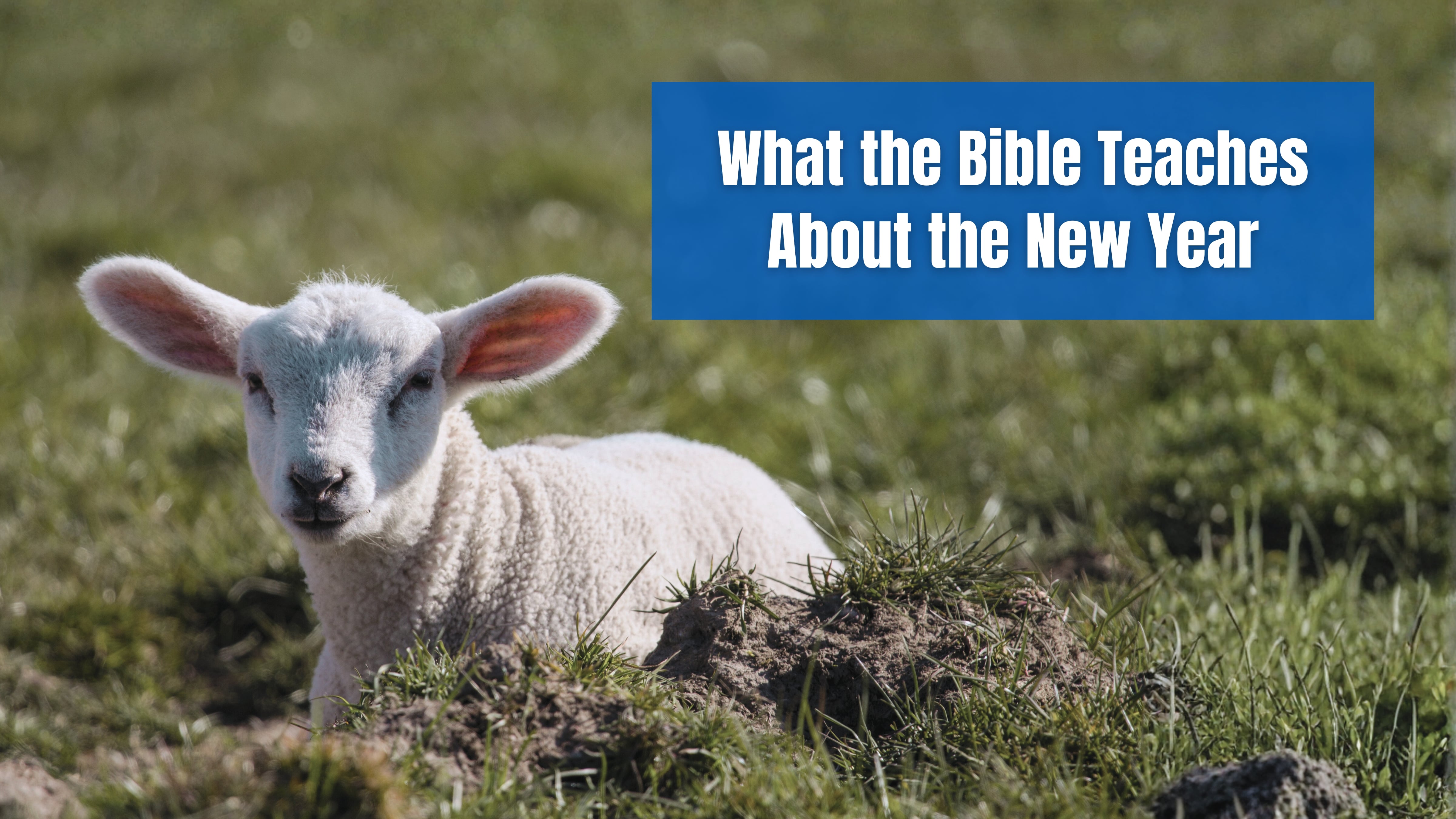 What the Bible Teaches About the New Year