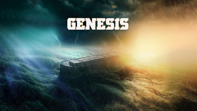 Genesis: 7 Phases Into 1 Grand Masterpiece