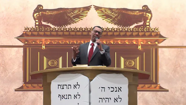 A New Story Begins When You Surrender...