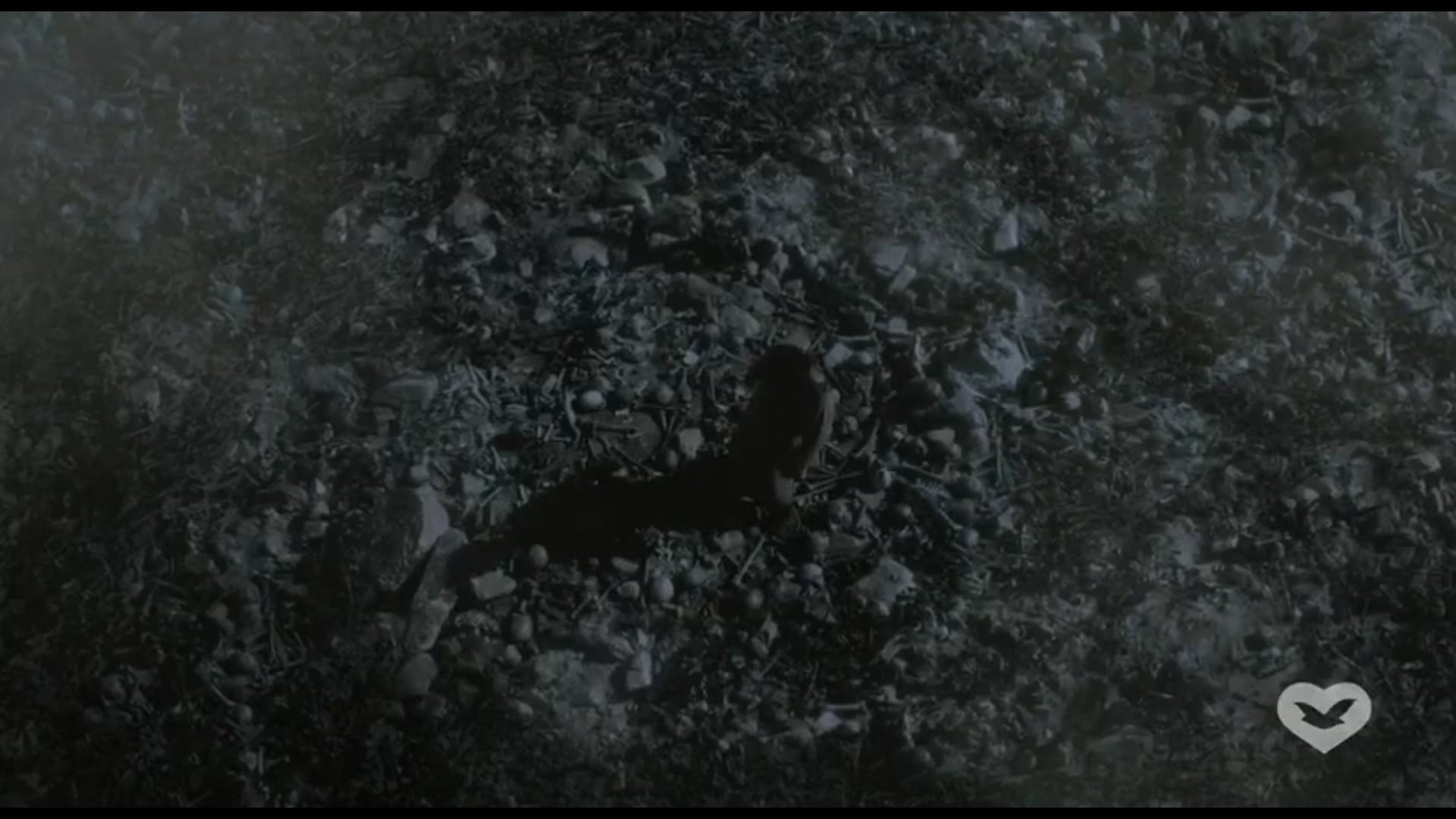 The Valley of the Dry Bones