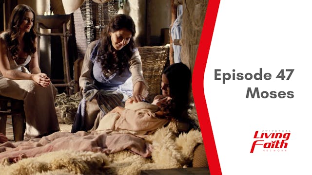 Episode 47 (Auto CC)