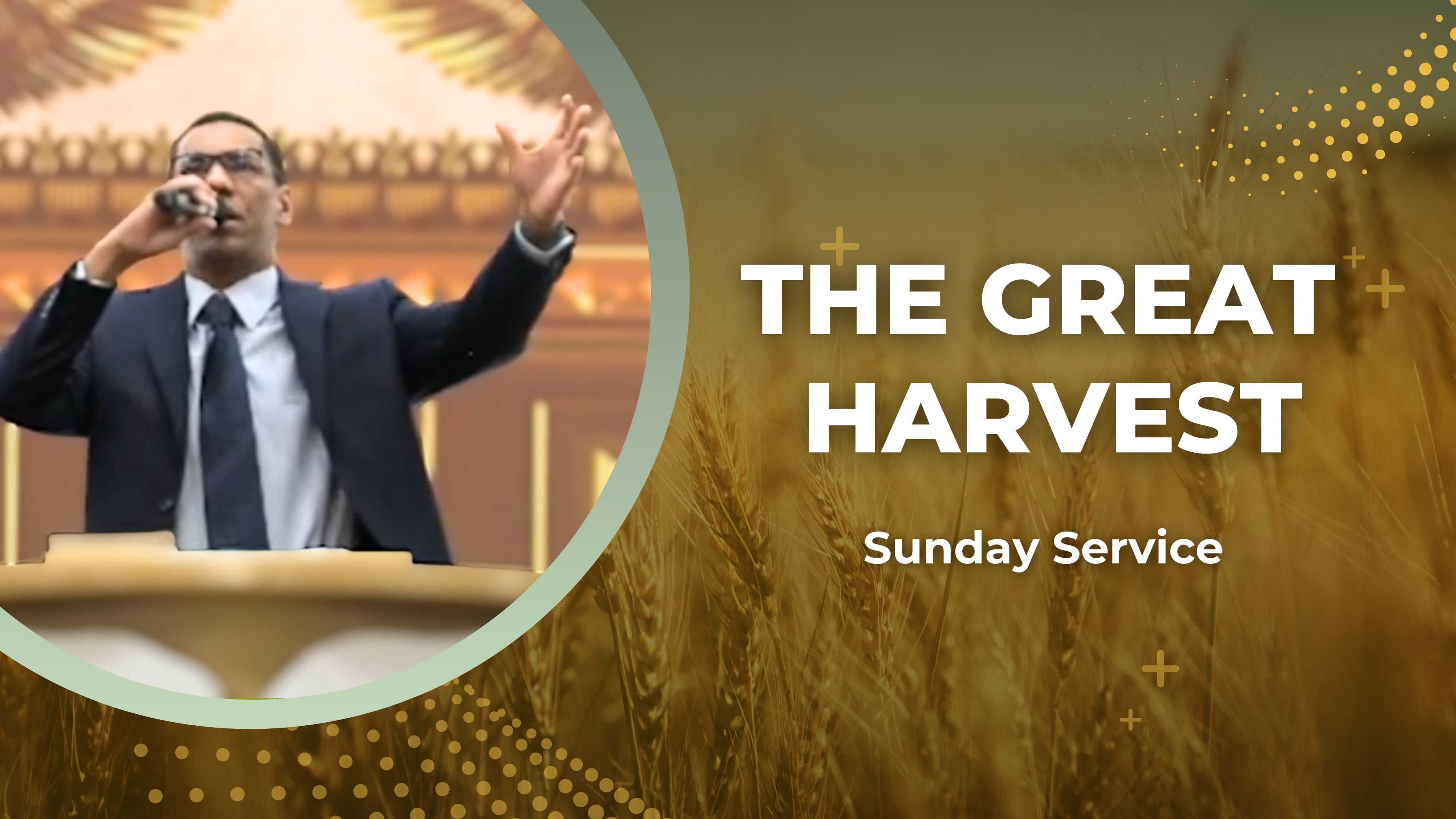 The Great Harvest