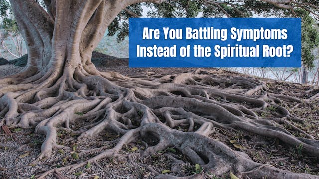 Are You Battling Symptoms Instead of ...
