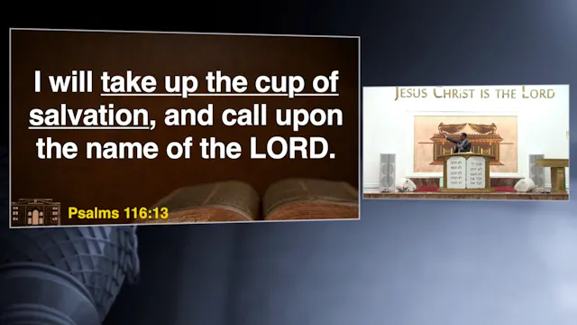 Don't Despise Your Salvation