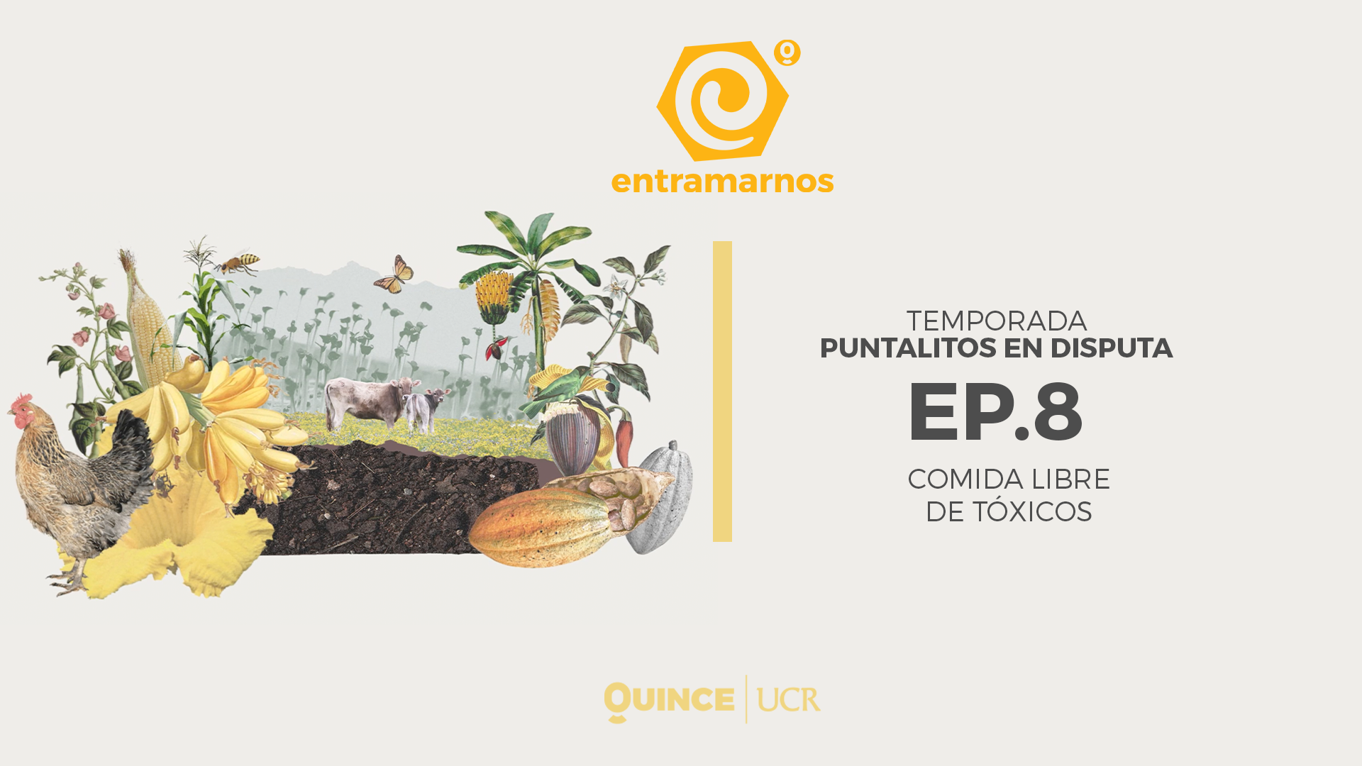 EP08. Comida libre de tóxicos