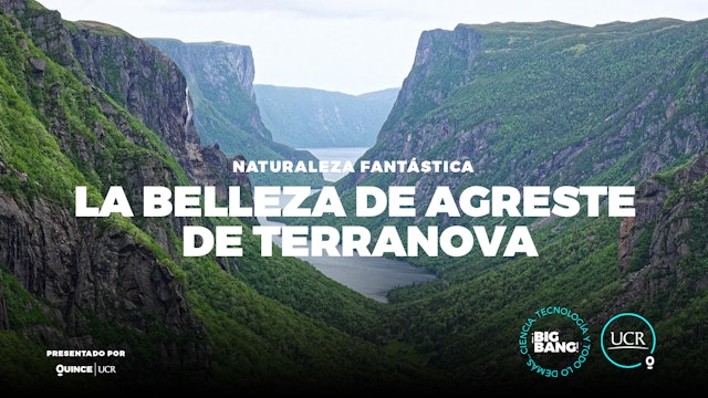 La belleza agreste de Terranova