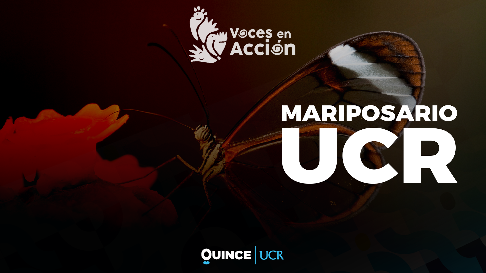 Voces en Acción: Mariposario UCR