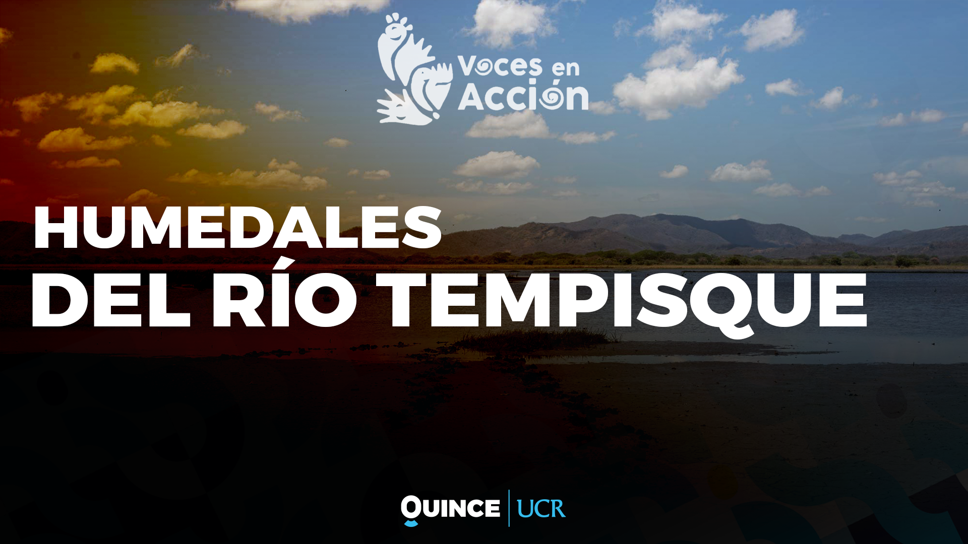 Voces en Acción: Humedal Mata Redonda