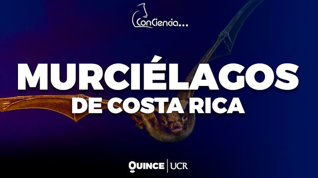 ConCiencia: Murciélagos de Costa Rica