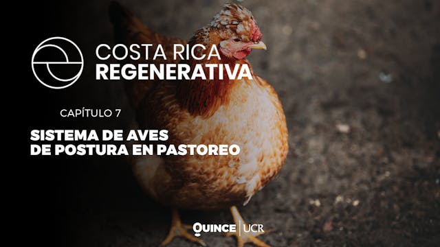 Costa Rica regenerativa: Sistema de a...