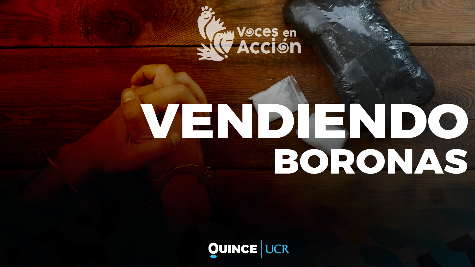Voces en Acción: Vendiendo boronas