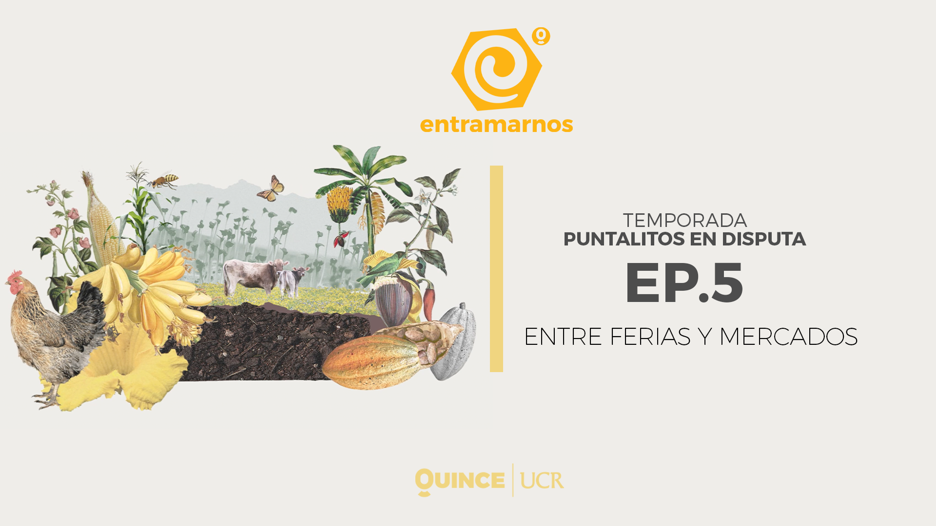 EP05. Entre ferias y mercados