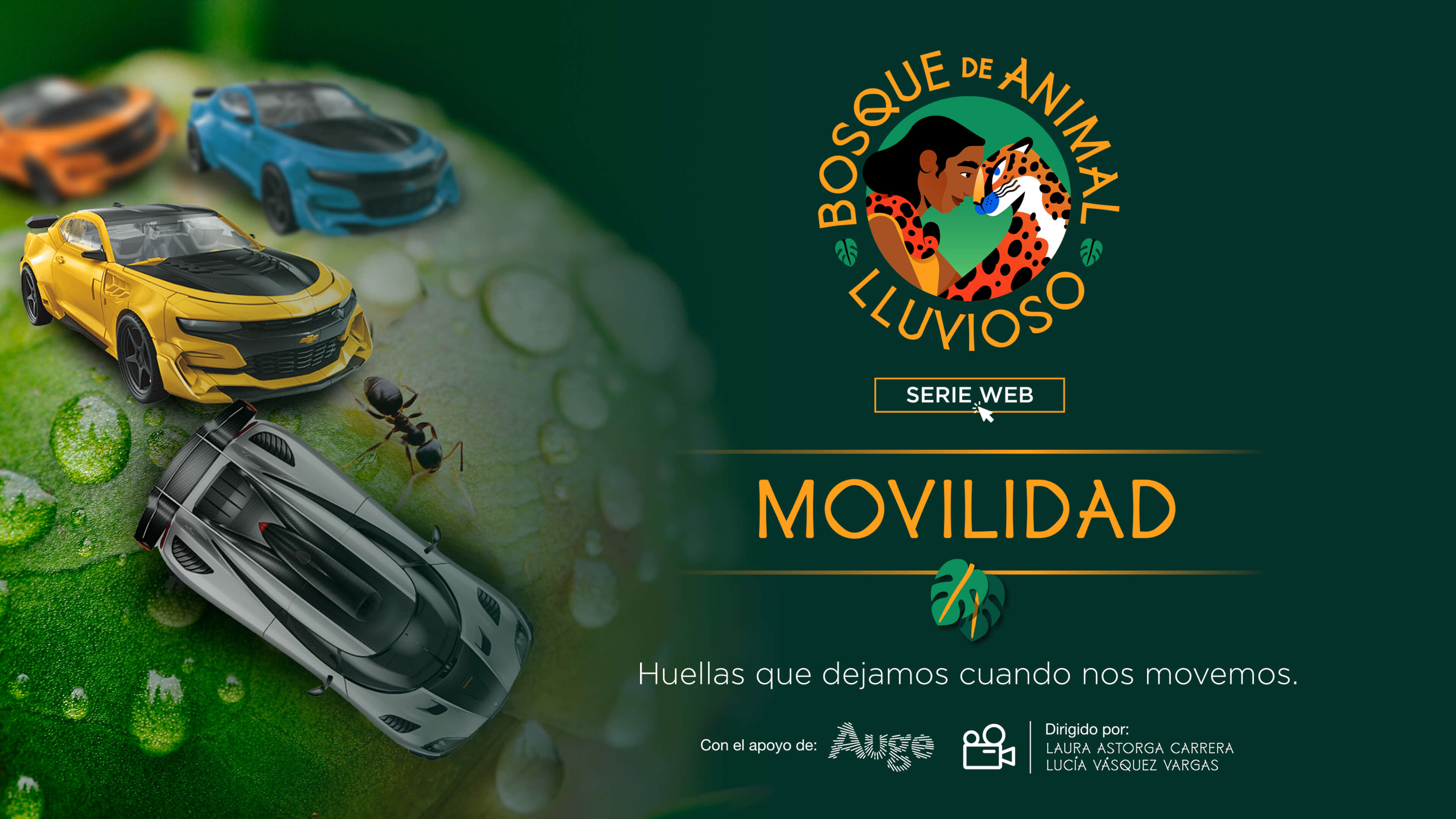 Movilidad: Las huellas que dejamos cuando nos movemos