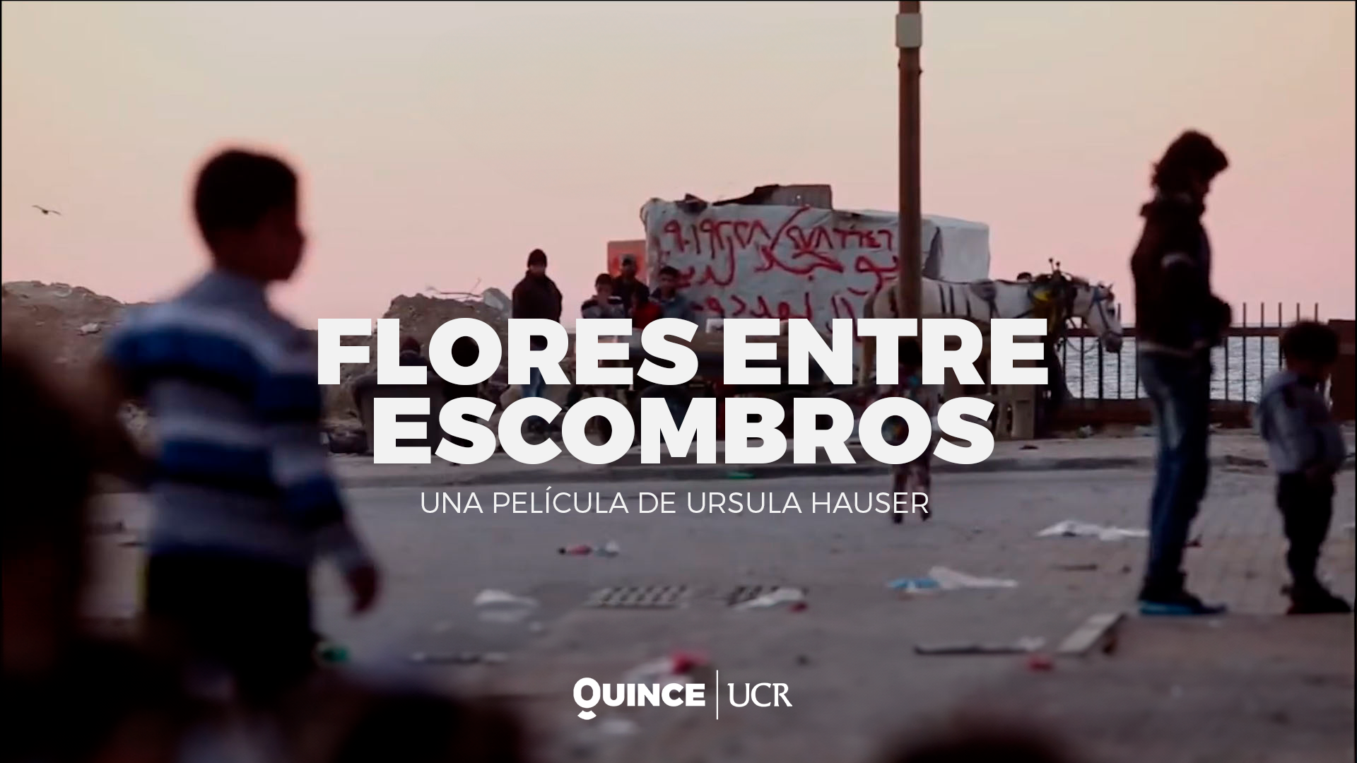 Flores entre escombros: entre la violencia y la esperanza en Gaza