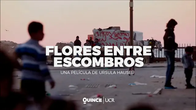 Flores entre escombros: entre la viol...