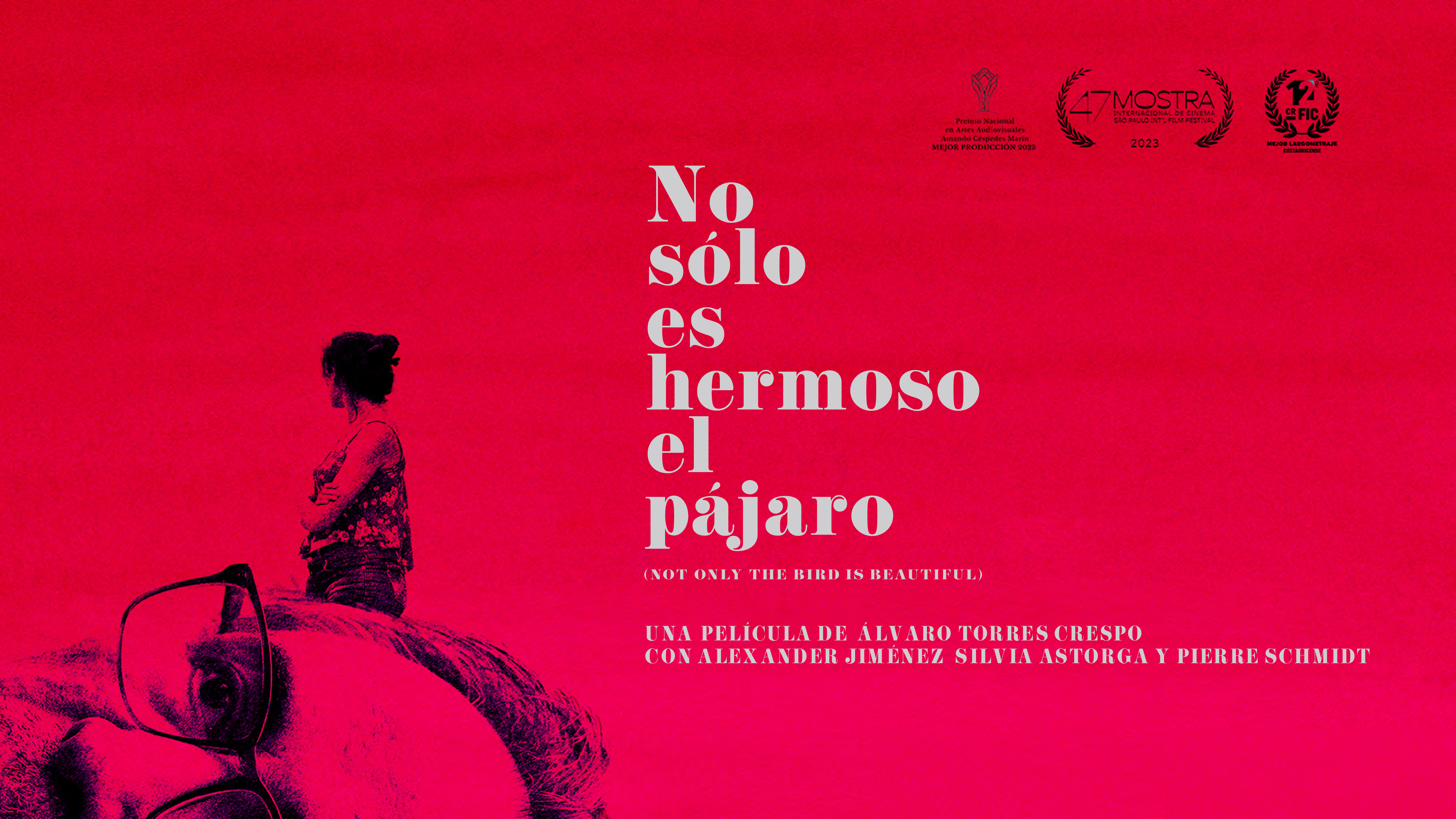 No solo es hermoso el pájaro