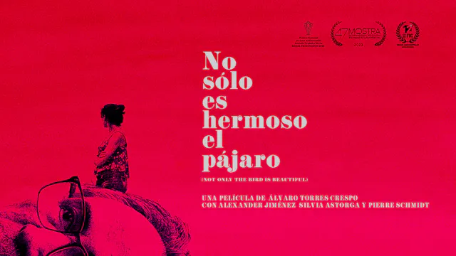 No solo es hermoso el pájaro