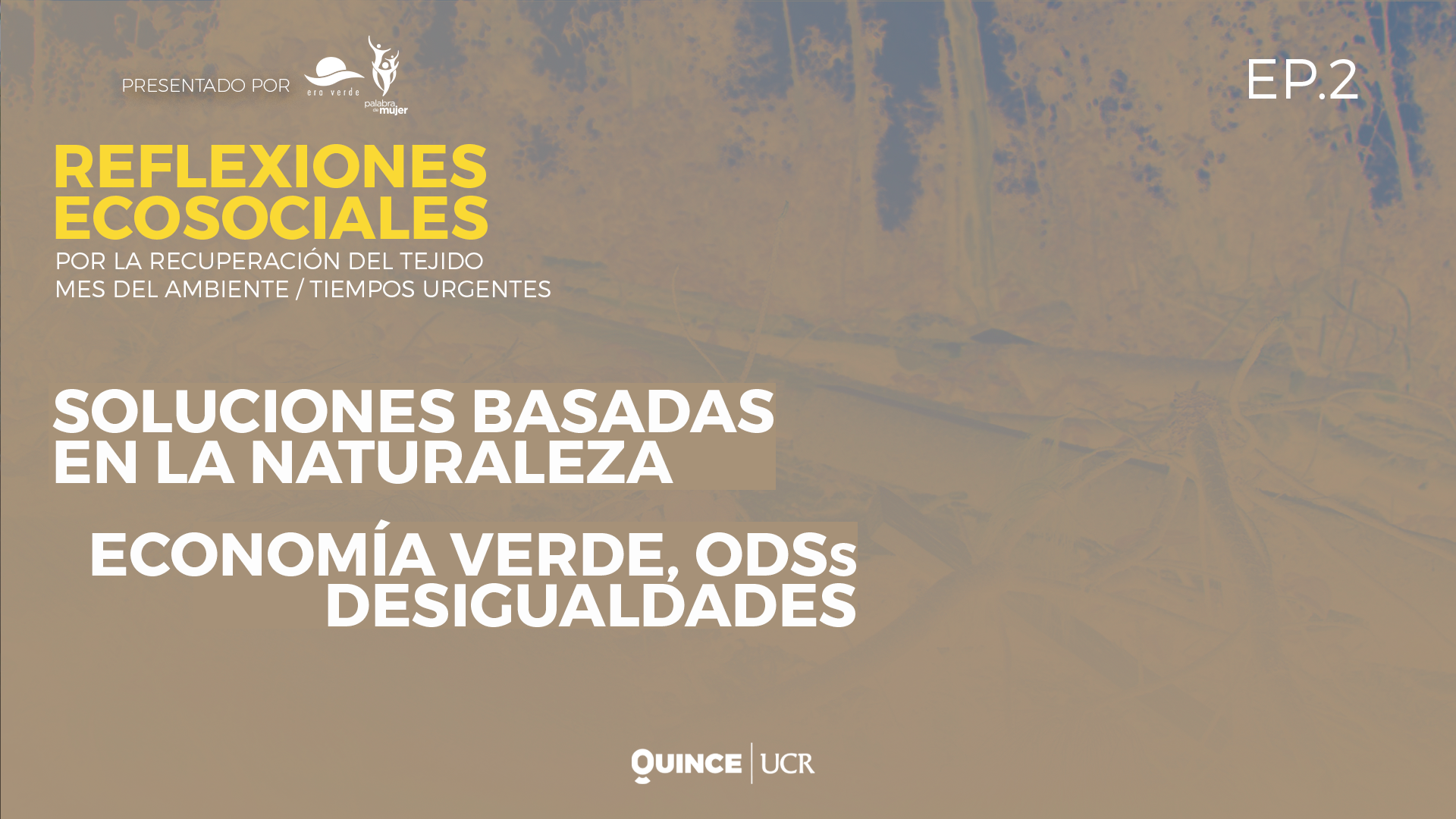 Episodio 2: Soluciones basadas en la naturaleza