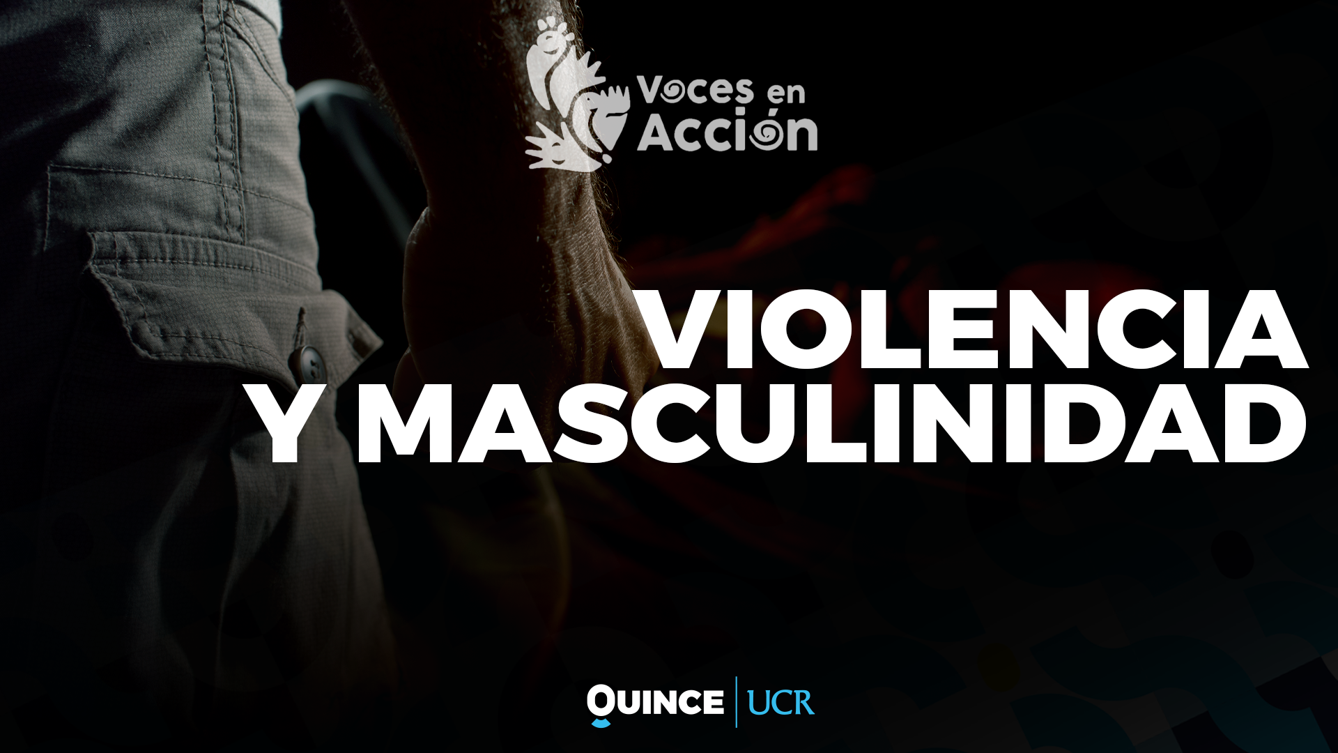 Voces en Acción: Violencia y masculinidad